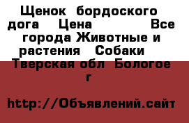 Щенок  бордоского  дога. › Цена ­ 60 000 - Все города Животные и растения » Собаки   . Тверская обл.,Бологое г.